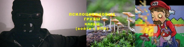 гидропоника Алзамай