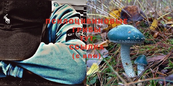 гидропоника Алзамай