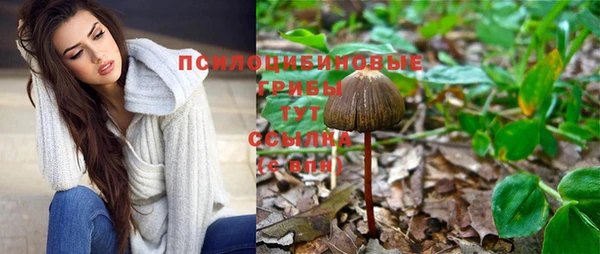 гидропоника Алзамай