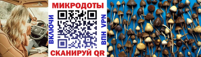 Псилоцибиновые грибы GOLDEN TEACHER  Кореновск 